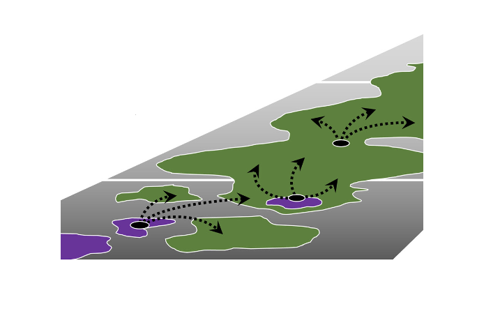 Anticipating future landscapes