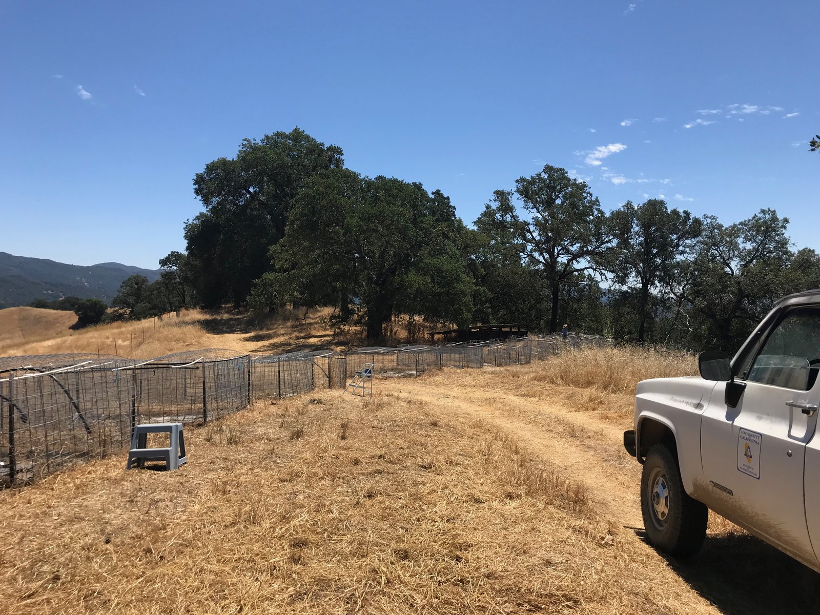 Rows of protective enclosures at a Blue Oak Living Library field gene bank site, with a University of California truck