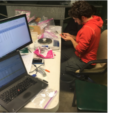 Processing acorns